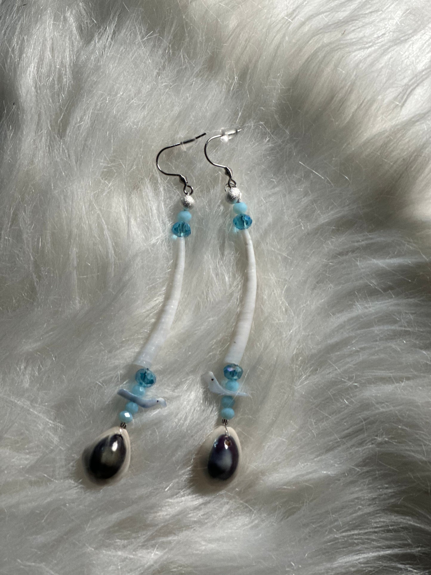 Dentallium and Cowrie Shell